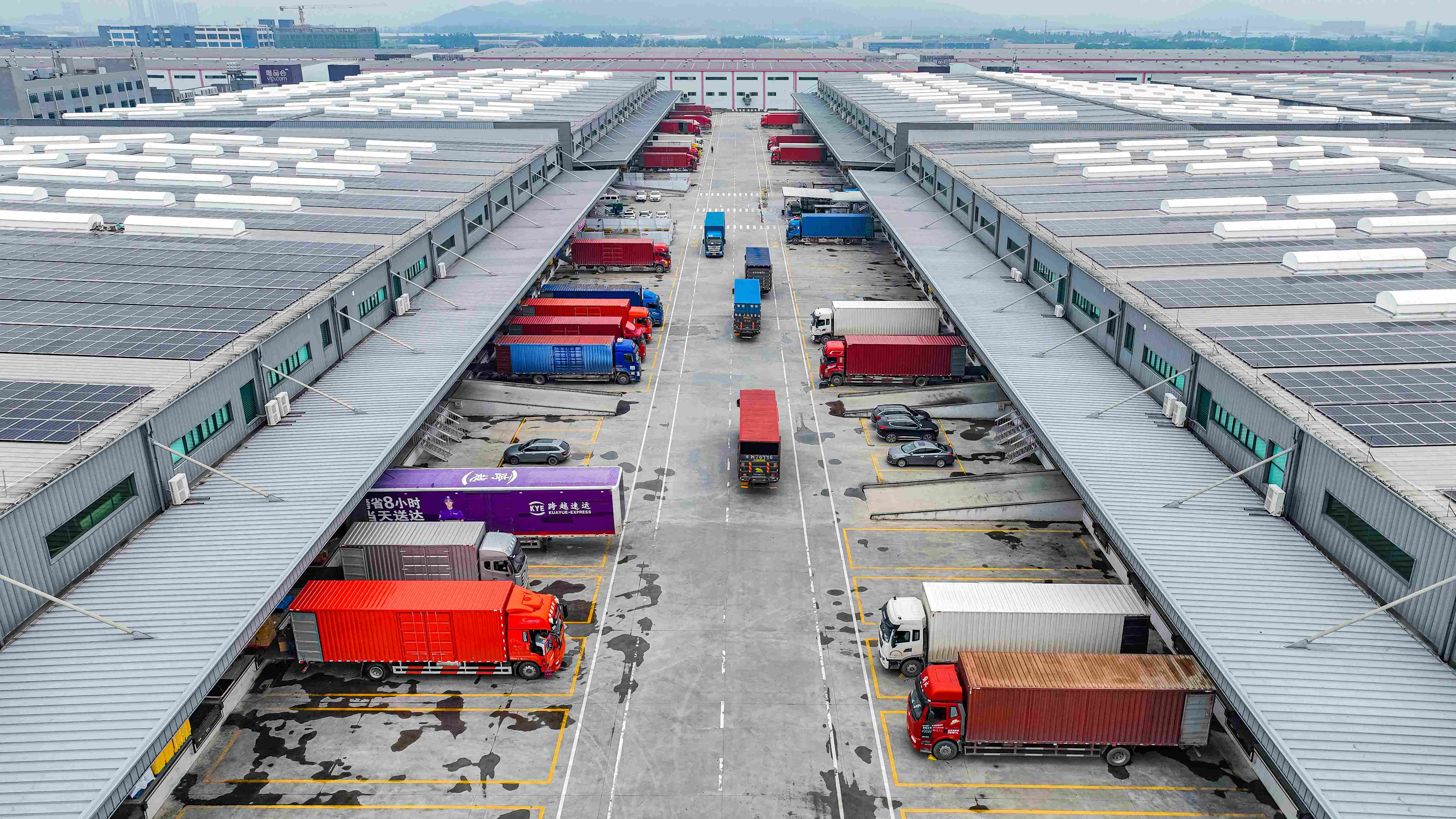 89c1_副本 89c1_副本